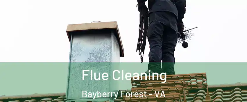 Flue Cleaning Bayberry Forest - VA