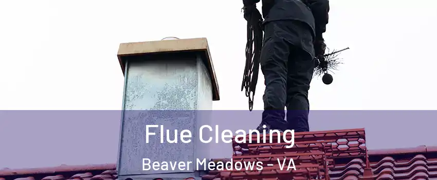 Flue Cleaning Beaver Meadows - VA