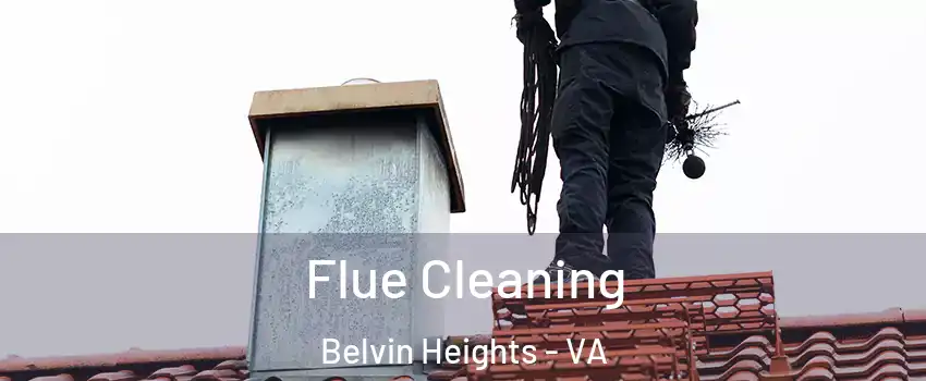 Flue Cleaning Belvin Heights - VA
