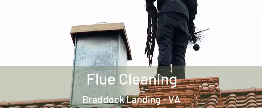 Flue Cleaning Braddock Landing - VA