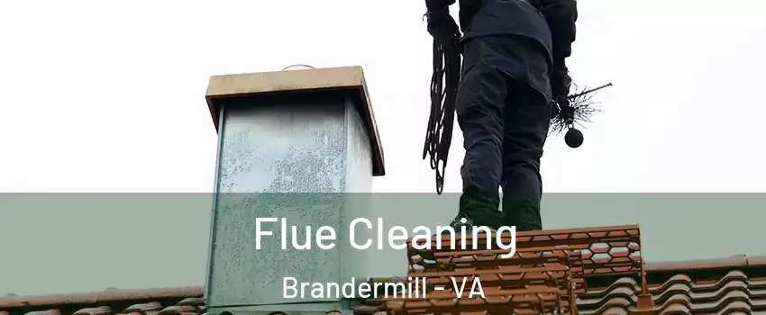 Flue Cleaning Brandermill - VA