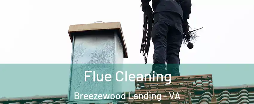 Flue Cleaning Breezewood Landing - VA