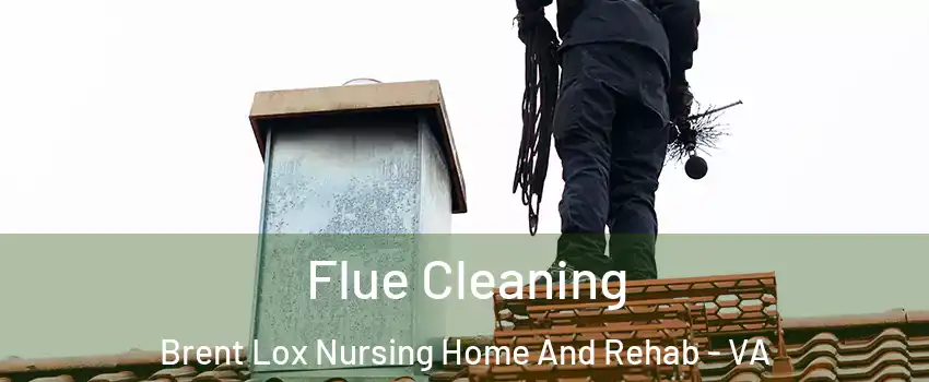 Flue Cleaning Brent Lox Nursing Home And Rehab - VA