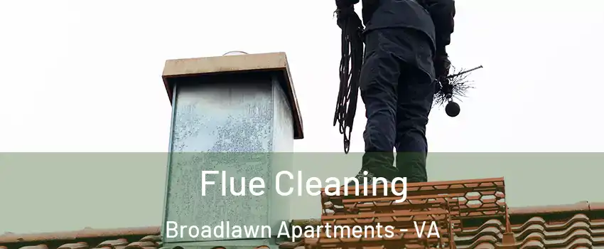 Flue Cleaning Broadlawn Apartments - VA