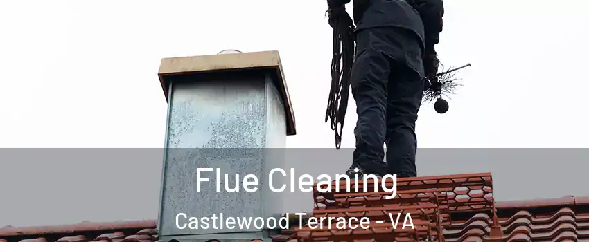 Flue Cleaning Castlewood Terrace - VA