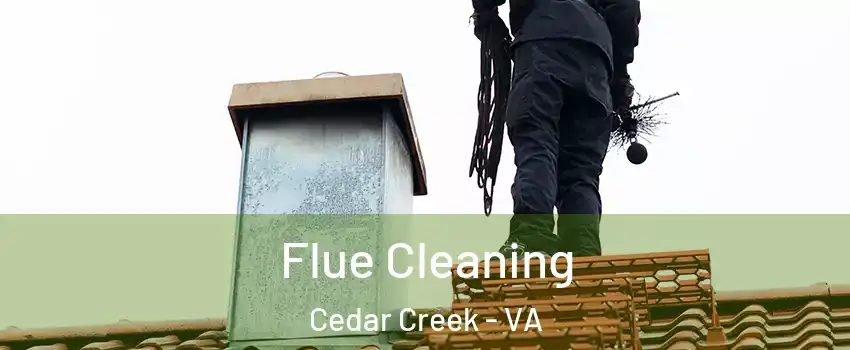 Flue Cleaning Cedar Creek - VA