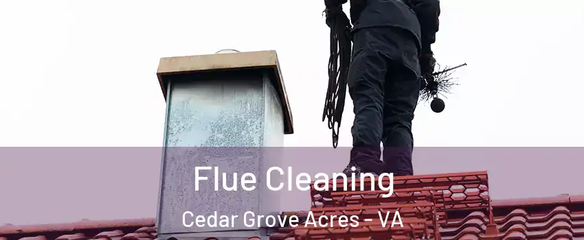 Flue Cleaning Cedar Grove Acres - VA