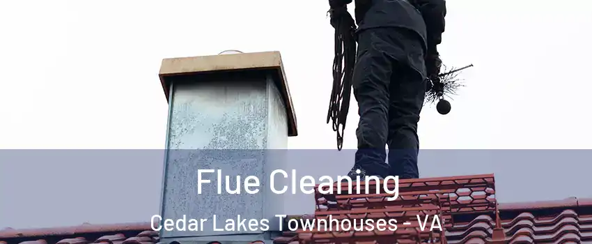 Flue Cleaning Cedar Lakes Townhouses - VA
