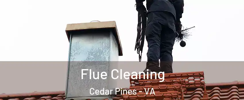 Flue Cleaning Cedar Pines - VA