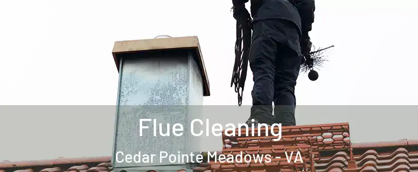Flue Cleaning Cedar Pointe Meadows - VA