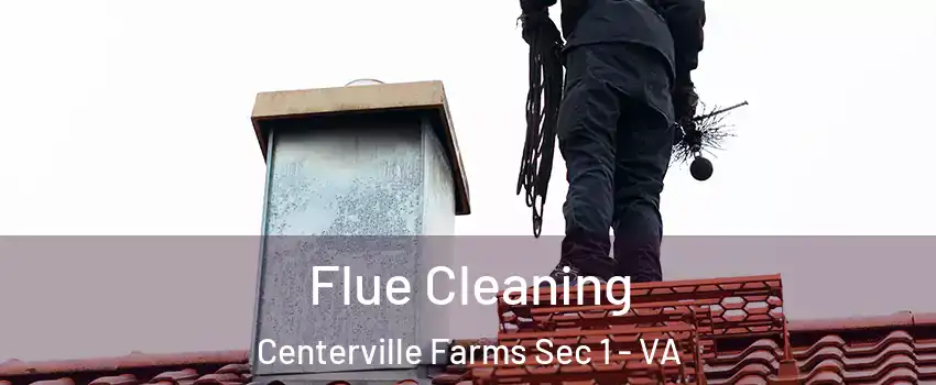 Flue Cleaning Centerville Farms Sec 1 - VA