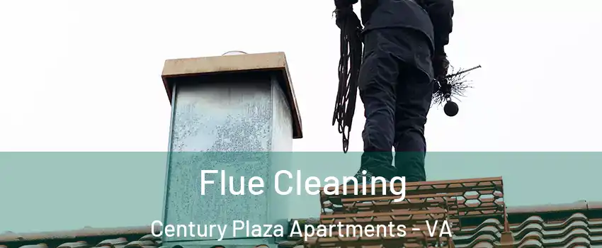 Flue Cleaning Century Plaza Apartments - VA