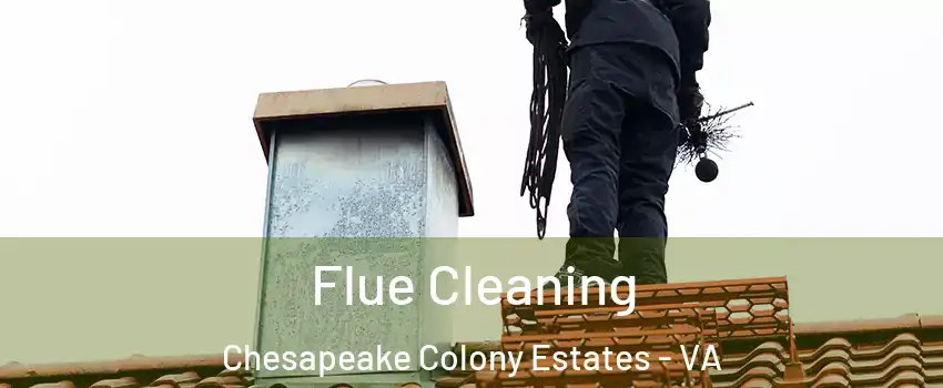 Flue Cleaning Chesapeake Colony Estates - VA