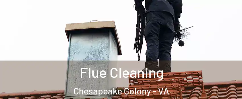 Flue Cleaning Chesapeake Colony - VA