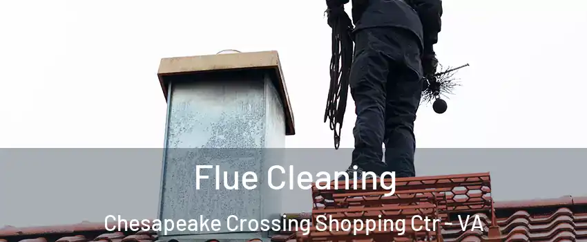 Flue Cleaning Chesapeake Crossing Shopping Ctr - VA