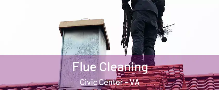 Flue Cleaning Civic Center - VA