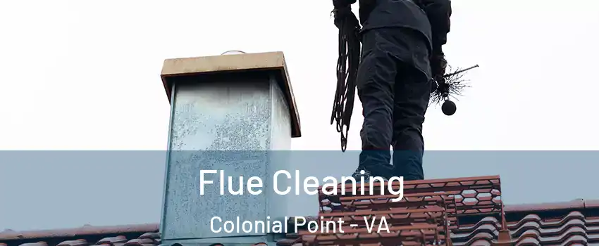 Flue Cleaning Colonial Point - VA