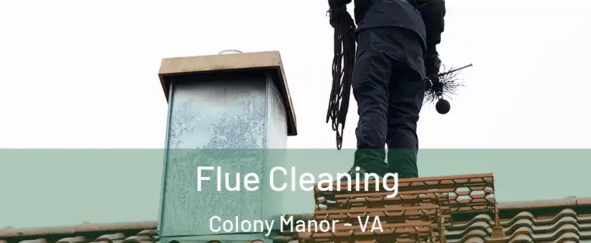 Flue Cleaning Colony Manor - VA