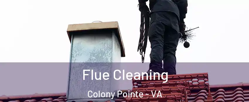 Flue Cleaning Colony Pointe - VA