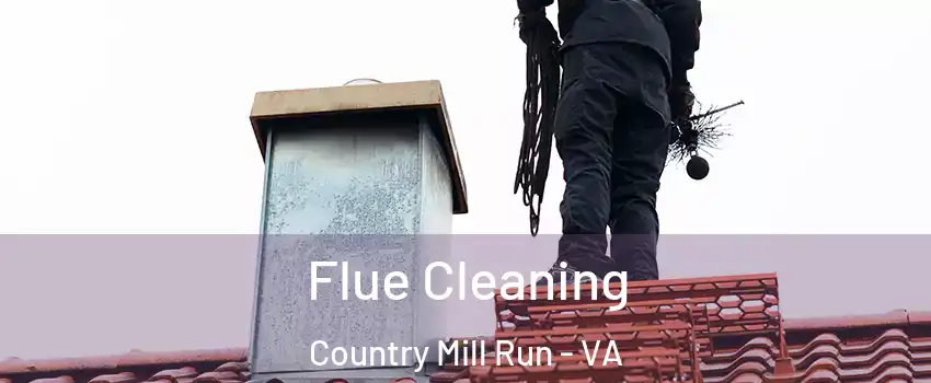 Flue Cleaning Country Mill Run - VA