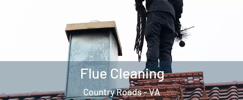 Flue Cleaning Country Roads - VA