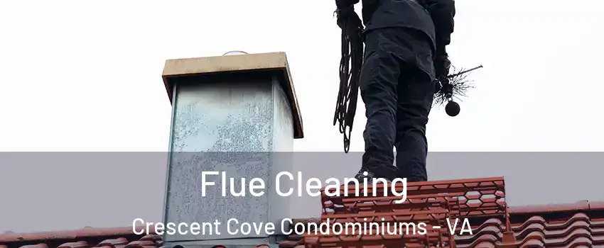 Flue Cleaning Crescent Cove Condominiums - VA