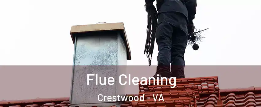 Flue Cleaning Crestwood - VA