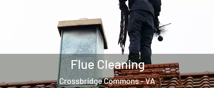 Flue Cleaning Crossbridge Commons - VA
