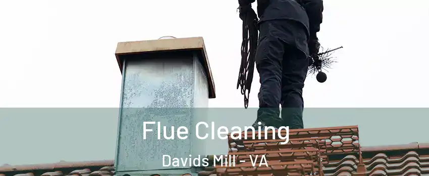 Flue Cleaning Davids Mill - VA
