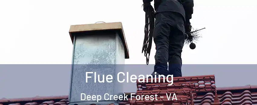 Flue Cleaning Deep Creek Forest - VA