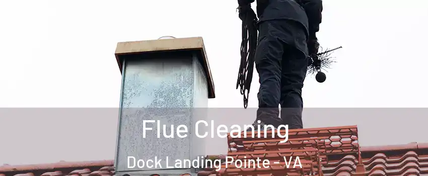 Flue Cleaning Dock Landing Pointe - VA