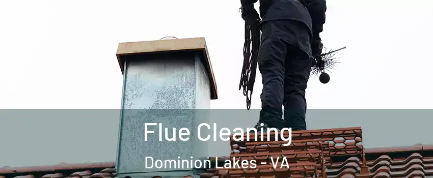 Flue Cleaning Dominion Lakes - VA