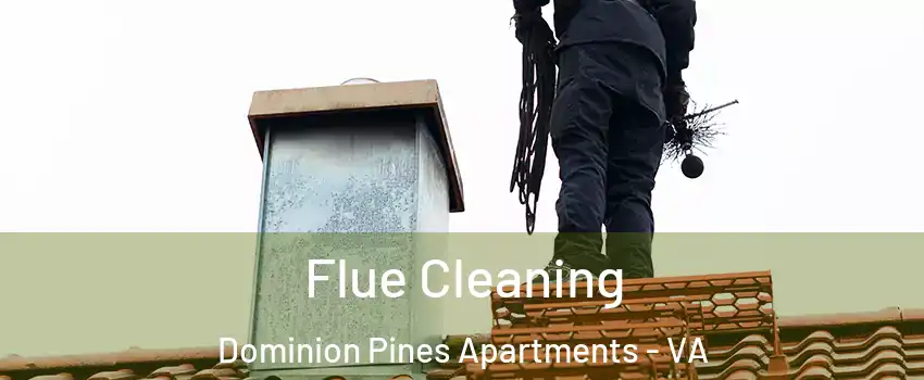 Flue Cleaning Dominion Pines Apartments - VA