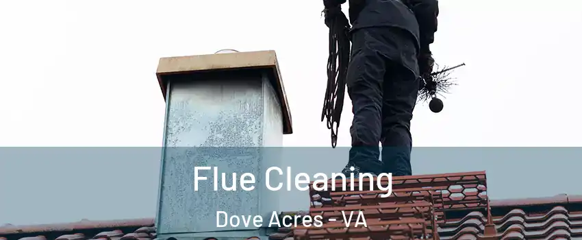Flue Cleaning Dove Acres - VA