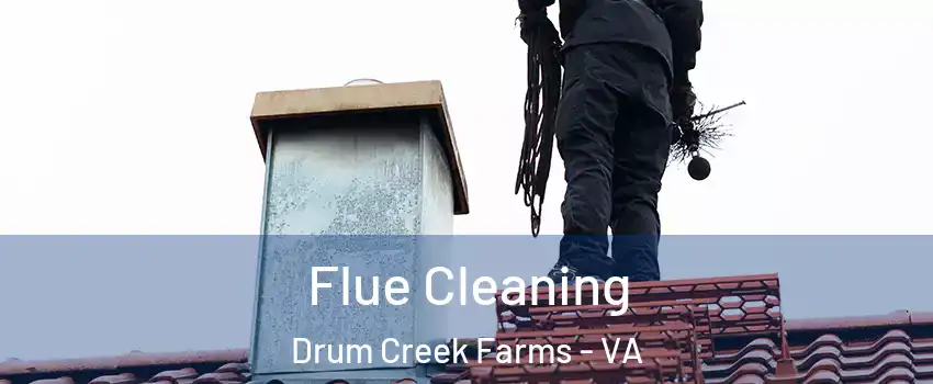 Flue Cleaning Drum Creek Farms - VA