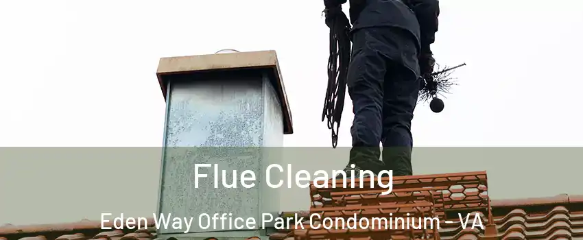 Flue Cleaning Eden Way Office Park Condominium - VA