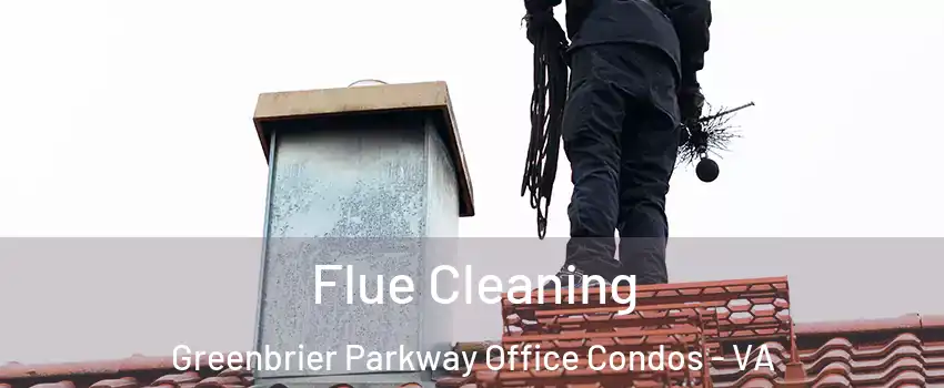 Flue Cleaning Greenbrier Parkway Office Condos - VA