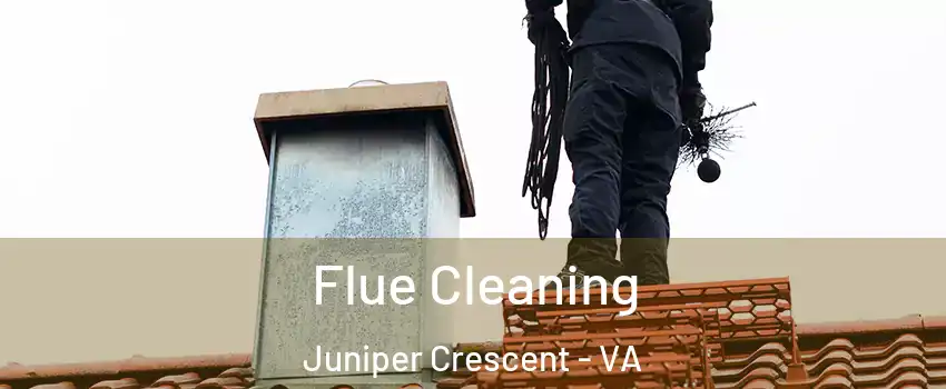 Flue Cleaning Juniper Crescent - VA