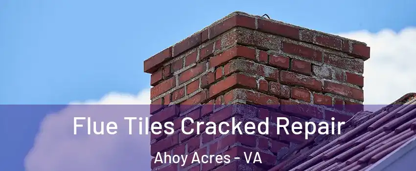 Flue Tiles Cracked Repair Ahoy Acres - VA
