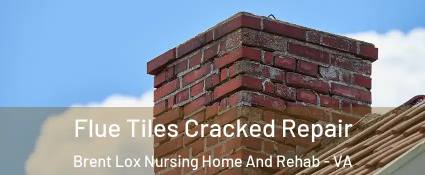 Flue Tiles Cracked Repair Brent Lox Nursing Home And Rehab - VA