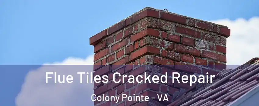 Flue Tiles Cracked Repair Colony Pointe - VA