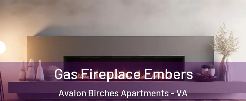 Gas Fireplace Embers Avalon Birches Apartments - VA
