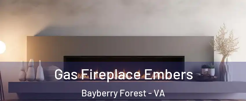 Gas Fireplace Embers Bayberry Forest - VA