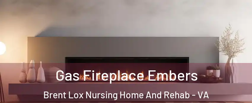 Gas Fireplace Embers Brent Lox Nursing Home And Rehab - VA