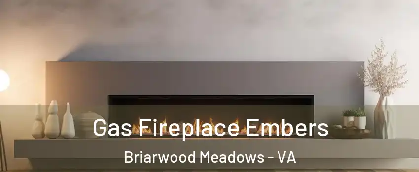 Gas Fireplace Embers Briarwood Meadows - VA