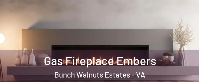 Gas Fireplace Embers Bunch Walnuts Estates - VA