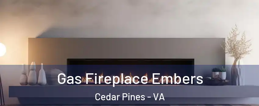 Gas Fireplace Embers Cedar Pines - VA