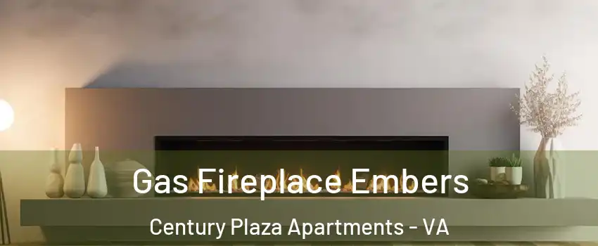 Gas Fireplace Embers Century Plaza Apartments - VA