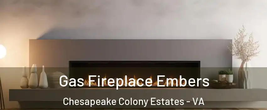 Gas Fireplace Embers Chesapeake Colony Estates - VA