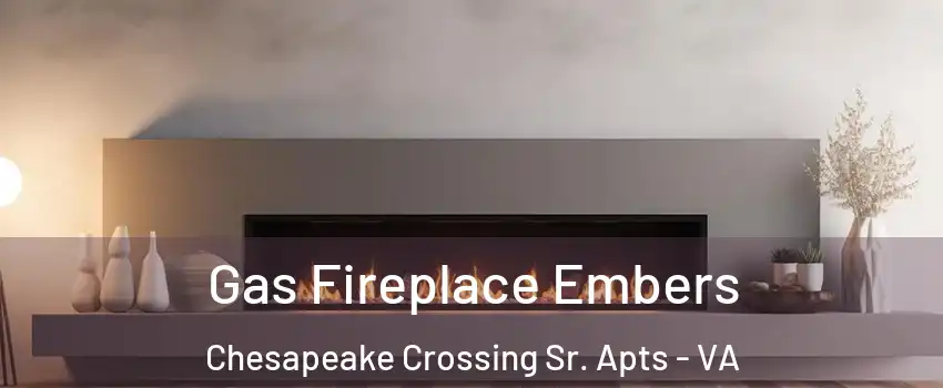 Gas Fireplace Embers Chesapeake Crossing Sr. Apts - VA